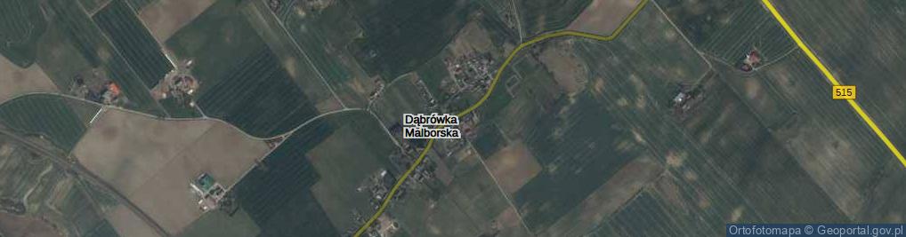 Zdjęcie satelitarne Dąbrówka Malborska ul.